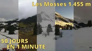 LEYSIN - LES MOSSES - LA L&Eacute;CHERETTE ⏩ TIMELAPSE 50J/MIN