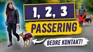 Passeringstrening: 1,2,3-&oslash;velsen for bedre kontakt
