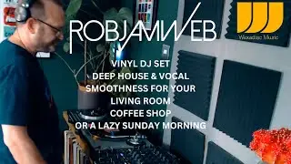 RobJamWeb Vinyl Only DJ Mix For Your Living Room, Coffee Bar or a Lazy Sunday Morning  Chilled Vibes
