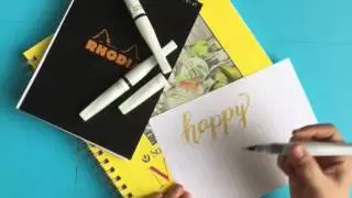 Zig Wink of Stella Brush