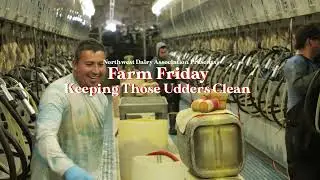 Farm Friday: Keep Those Udders Clean