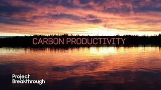 Carbon Productivity