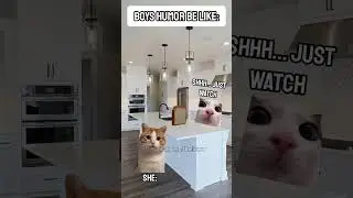 POV: Boy's humor