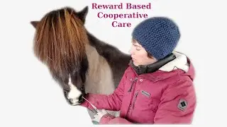 Cooperative Care Husbandry Procedures