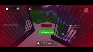 Do Not Go Into The Maze On 99 Nights In The Forest New Update