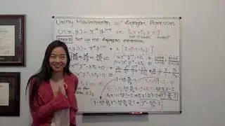 Constrained Optimization: Utility Maximization w/ the Lagrangian Expression