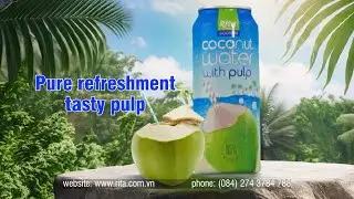 Rita Coconut Water with Pulp 500ml Can | Pure Taste of Nature