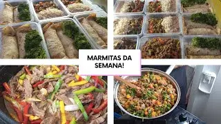 MARMITAS DA SEMANA USANDO CARNE MOIDA E BIFE! FIZ CARNE COM LEGUMES E CARNE ORIENTAL! PANQUECAS FIT!