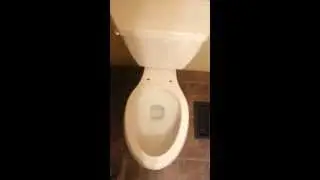 pressure assist toilet flush