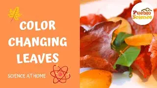 Color Changing Leaves