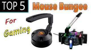 Best Mouse Bungee For Gaming