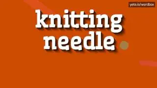 HOW TO PRONOUNCE KNITTING NEEDLE? #knitting needle