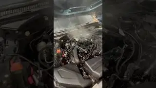 2018 330i B48 Blown Engine with 51,000 Miles  #bmw #automobile #bmwgraveyard #bmwworkshop #b48 #b46