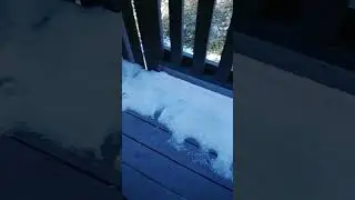 Snow Pls dont go pls🥲😓😓