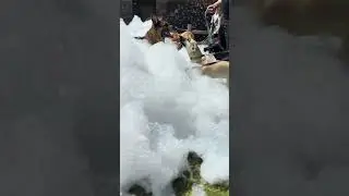 Cutest Doggy Bubble Foam Party EVER! #foam #foamparty