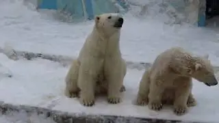 Любим мы игрушки , канистры- погремушки...We love toys , canisters, rattles..