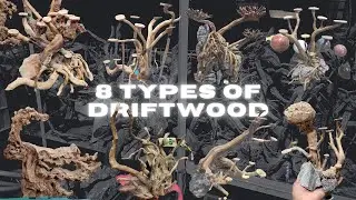 Types of DRIFTWOOD for aquarium | 8 Types | mopani driftwood | spider driftwood | driftwood for fish