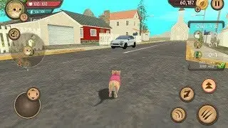 Cat Sim Online: Play with Cats Android Gameplay Ep 33