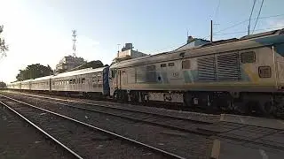 CSR SDD7 B966 + Tren chapa 5 