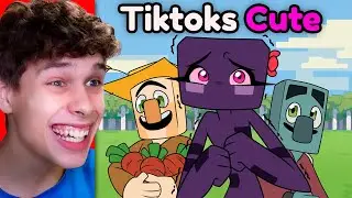 Estos son los TIKTOKS M&Aacute;S CUTE de TODO Minecraft