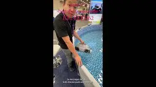 Betta SE Plus Solar Powered Pool Skimmer: Lightweight & Effective Debris Removal