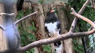 Bergzoo Halle