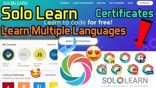 Solo Learn | How To Learn Programming for BEGINNERS! | How to Start Coding