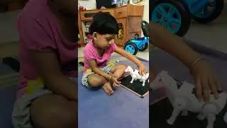 Ira Playing with Cow toy