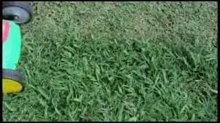 Tandem Mulch & Catch Mowers