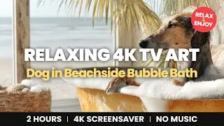 Dog in Beachside Bubble Bath with Ocean View | 4K TV Art Wallpaper | 2 Hour | No Music