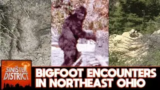 Ohio Bigfoot Encounters
