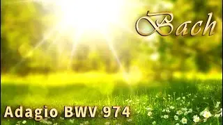 BACH - Adagio BWV 974 - CLASSIC MUSIC modern performance by Victor Logachev