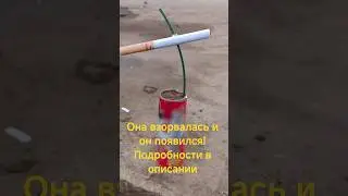 Взрыв мозга! #зарядка #smartphone #кабель #телефон #распаковка #отзыв