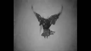Lull Angel and The Breathing Soul 