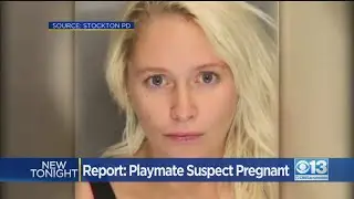 Report: Playmate Suspect May Be Pregnant