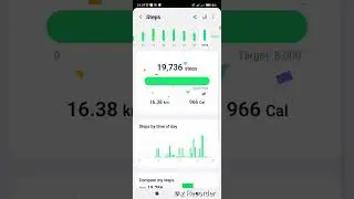 WALKING CHALLENGE 19736 steps💪👏👏🐎for October 24- 2025