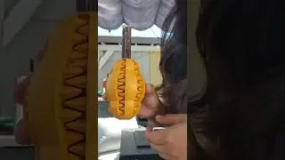 Your Dog Needs This!