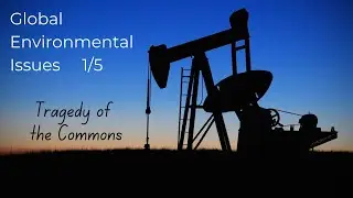 Global Environmental Politics 1/5 - The Tragedy of the Commons