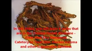 Herbs That Clear Heat And Dry Dampness