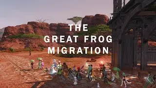 The Great Frog Migration of OCE #OCEfrogmigration
