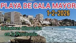 PLAYA DE CALA MAYOR. 1-2-2026. MIENTRAS DILUVIABA EN LA PENÍNSULA #calamayor #mallorca #playa 