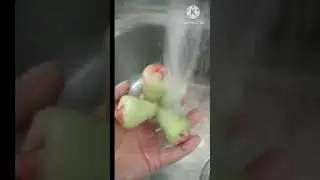 water apple juice#shorts #youtube