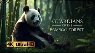 Panda Paradise | Ultra Realistic 4K Wildlife Film