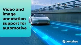 Video and Image Annotation for ADAS AD in Mobility | Netscribes