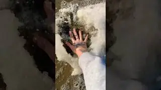 Smashing Sea Foam is So Satisfying! #shorts