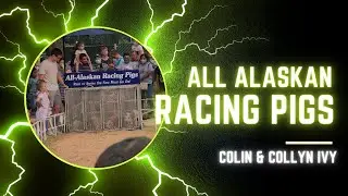 All Alaskan Racing Pigs