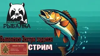 Приму в ПОДАРОК катушку Rigal - Выполняю Экстра Задания - RR4