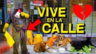Un día con ABDUL, protector de PERROS CALLEJEROS | #Salta #Argentina