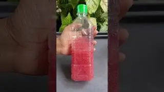 100% Natural hibiscus conditioner #shorts