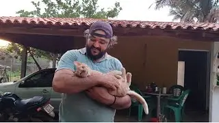 TERMINEI O TETO DO QUARTINHO E J&Aacute; ESTAMOS PREPARANDO PARA O PISO
